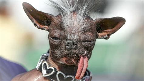 UGLY .